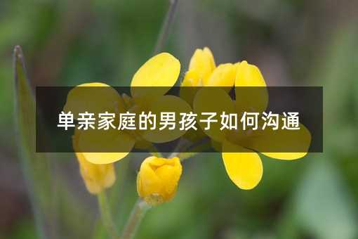 單親家庭的男孩子如何溝通