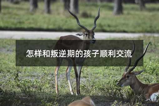Ӻڵĺ