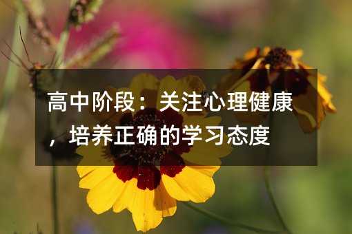 高中階段:關注心理健康,培養正確的學習態度