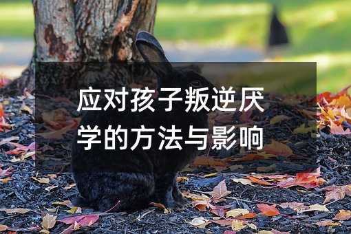 慒WķcӰ