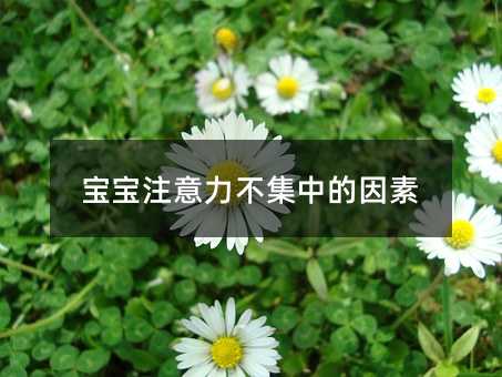 寶寶注意力不集中的因素
