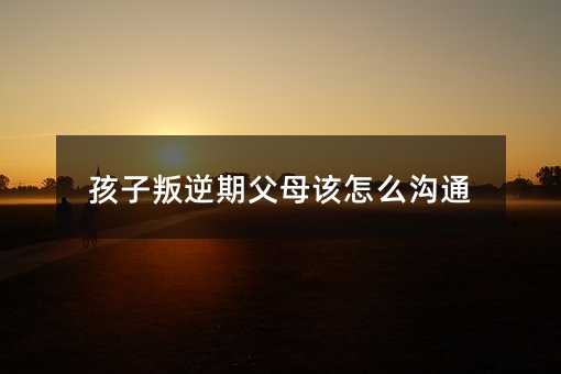 孩子叛逆期父母該怎么溝通