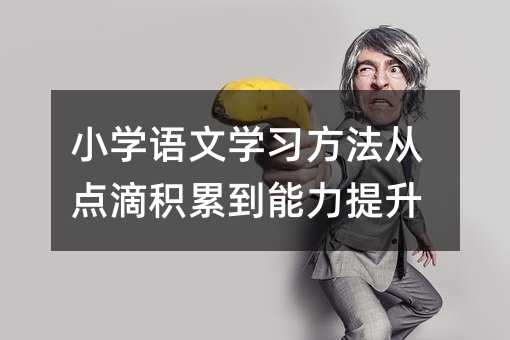 小學(xué)語文學(xué)習(xí)方法從點(diǎn)滴積累到能力提升