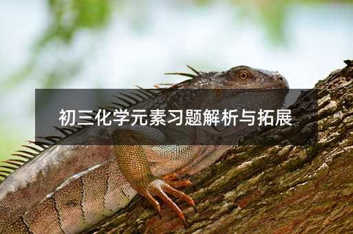初三化學元素習題解析與拓展