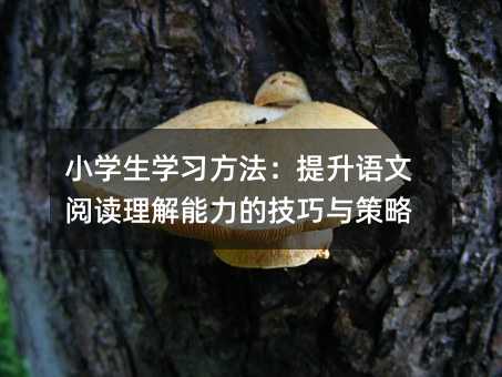 小學生學習方法:提升語文閱讀理解能力的技巧與策略