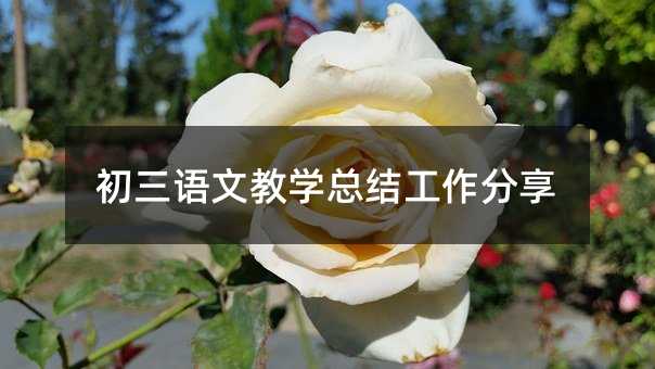初三語文教學總結(jié)工作分享
