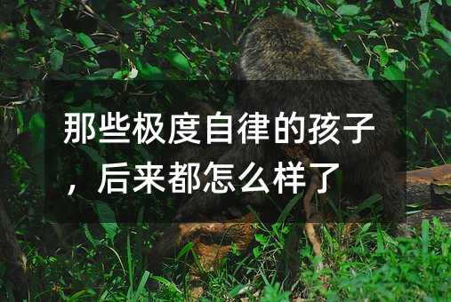 那些極度自律的孩子,后來都怎么樣了