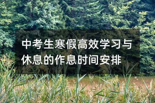 中考生寒假高效學習與休息的作息時間安排