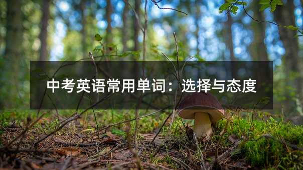 中考英語常用單詞:選擇與態度
