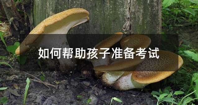 如何幫助孩子準備考試