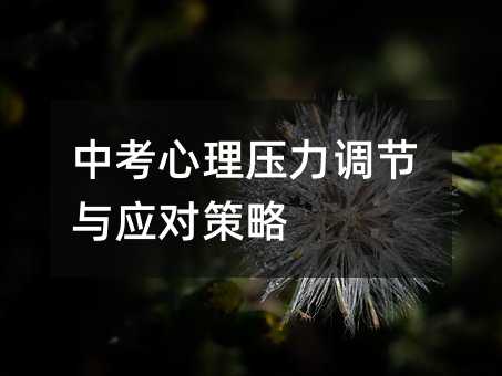 中考心理壓力調(diào)節(jié)與應(yīng)對(duì)策略
