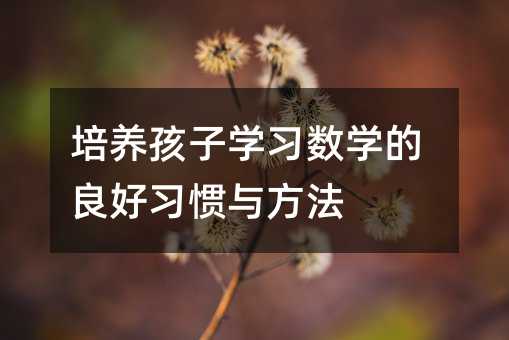 培養孩子學習數學的良好習慣與方法