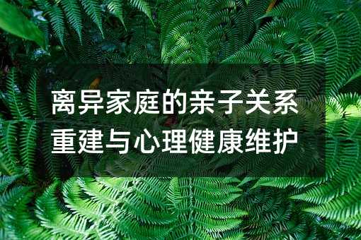 離異家庭的親子關系重建與心理健康維護
