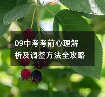 09中考考前心理解析及調(diào)整方法全攻略