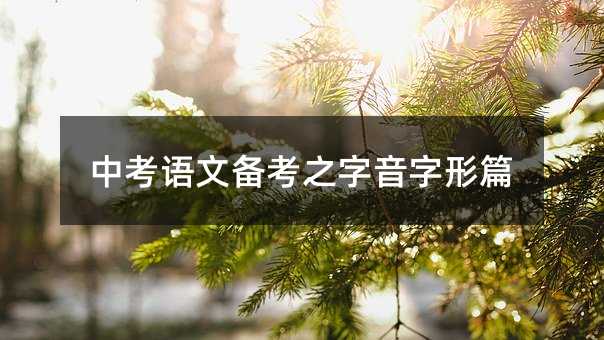 中考語文備考之字音字形篇