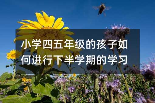 СW꼉ĺM°WڵČW