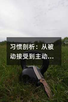 習(xí)慣剖析:從被動(dòng)接受到主動(dòng)學(xué)習(xí)