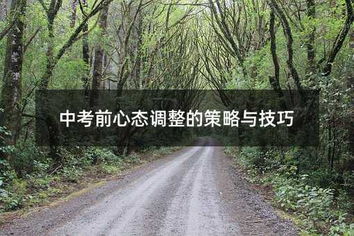 中考前心態調整的策略與技巧
