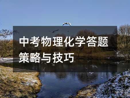 中考物理化學答題策略與技巧