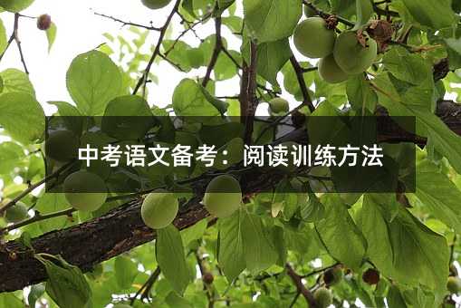 中考語文備考:閱讀訓練方法