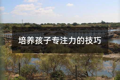 培養(yǎng)孩子專注力的技巧