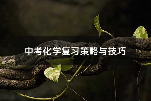 中考化學復習策略與技巧