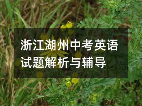 浙江湖州中考英語試題解析與輔導(dǎo)