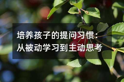 培養(yǎng)孩子的提問習(xí)慣:從被動學(xué)習(xí)到主動思考
