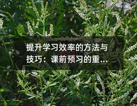提升學習效率的方法與技巧:課前預習的重要性