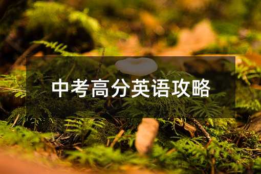 中考高分英語攻略