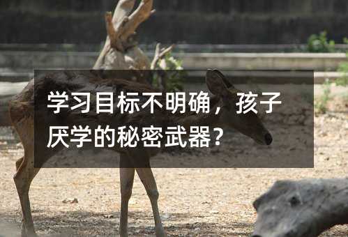 學習目標不明確,孩子厭學的秘密武器?