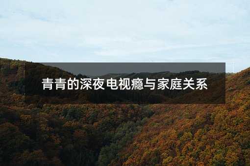 青青的深夜電視癮與家庭關(guān)系