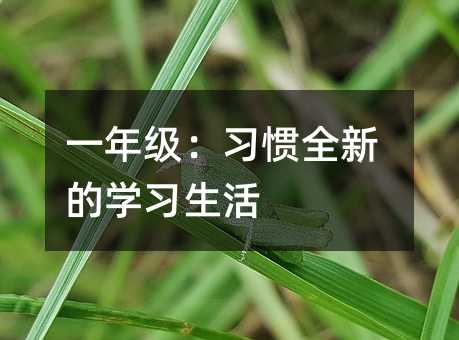 һ꼉(j)(x)TȫµČW(xu)(x)