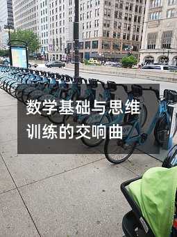 數(shù)學(xué)基礎(chǔ)與思維訓(xùn)練的交響曲