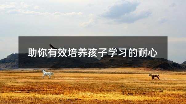 助你有效培養孩子學習的耐心
