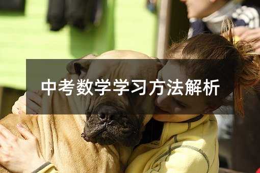 中考數學學習方法解析