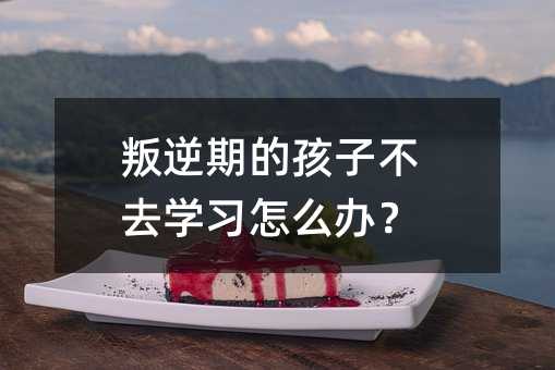 叛逆期的孩子不去學習怎么辦?