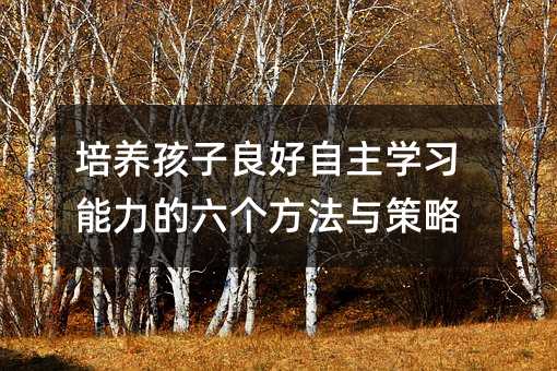 培養孩子良好自主學習能力的六個方法與策略