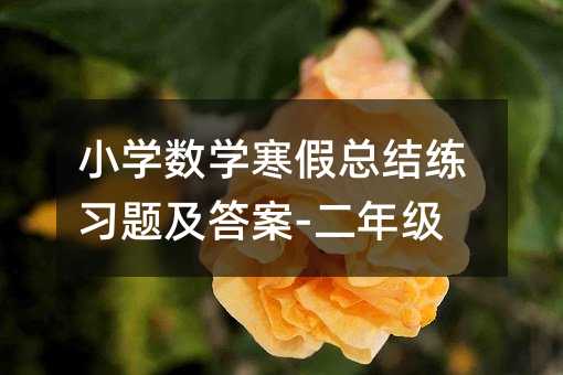 小學數(shù)學寒假總結練習題及答案-二年級