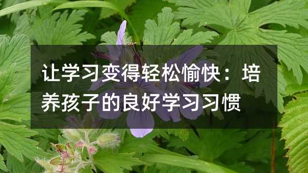 ׌W׃p죺BӵÌWT