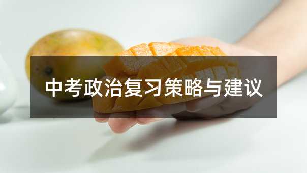 中考政治復習策略與建議