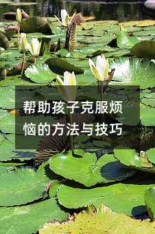 ӿ˷ķc