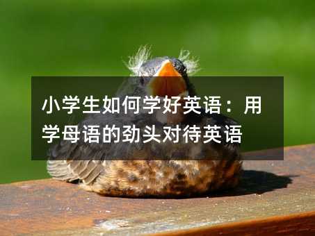 小學生如何學好英語:用學母語的勁頭對待英語
