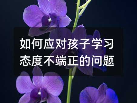 如何應(yīng)對孩子學(xué)習(xí)態(tài)度不端正的問題