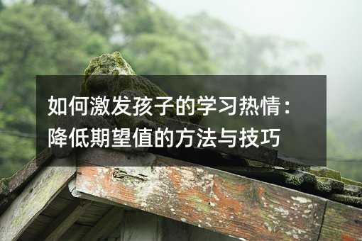 如何激發(fā)孩子的學(xué)習(xí)熱情:降低期望值的方法與技巧