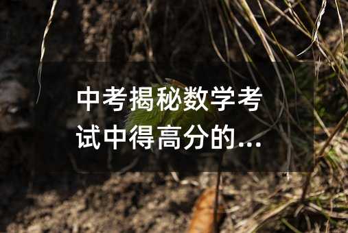 中考揭秘?cái)?shù)學(xué)考試中得高分的秘訣