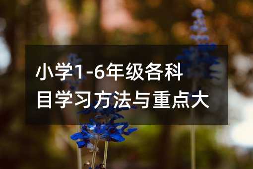 小學1-6年級各科目學習方法與重點大全
