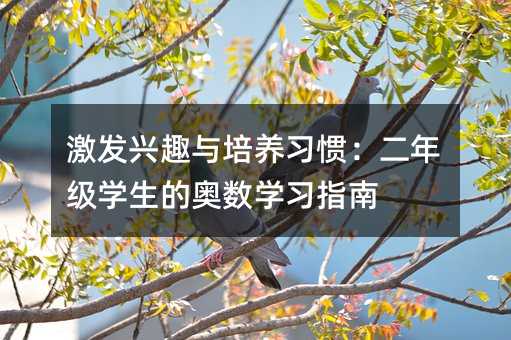 激發興趣與培養習慣:二年級學生的奧數學習指南
