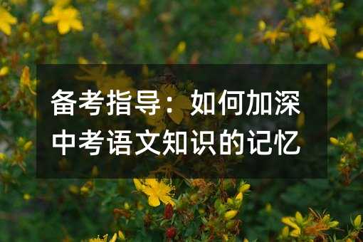 備考指導(dǎo):如何加深中考語(yǔ)文知識(shí)的記憶