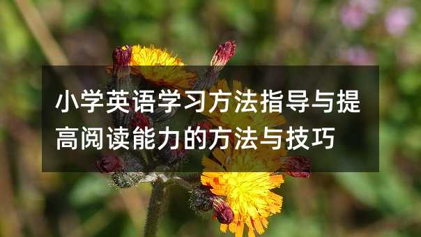 СWӢZWָcxķc